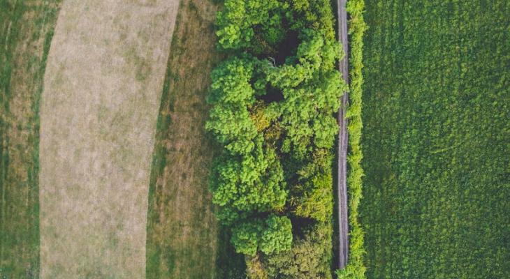 Foto de Licenciamento Ambiental
