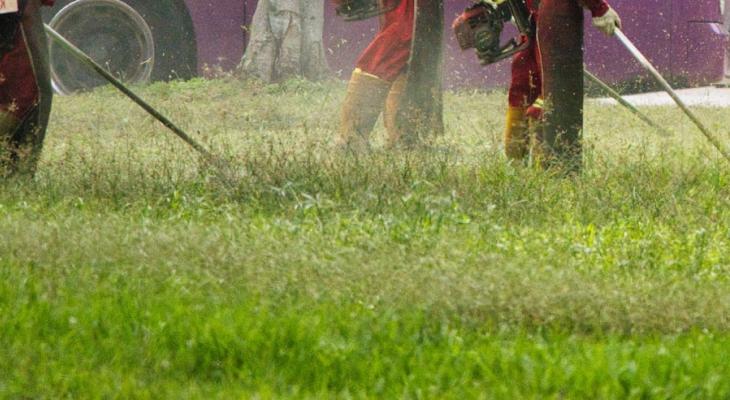 Foto de Limpeza de Lotes