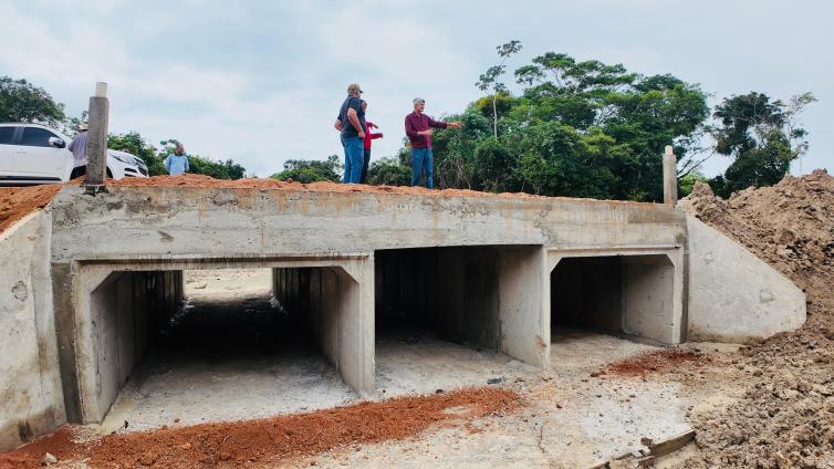 Imagem principal da Notícia