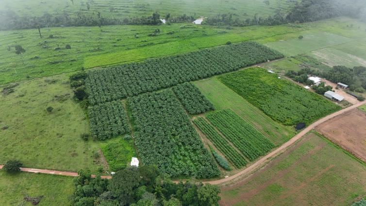 Imagem principal da Notícia