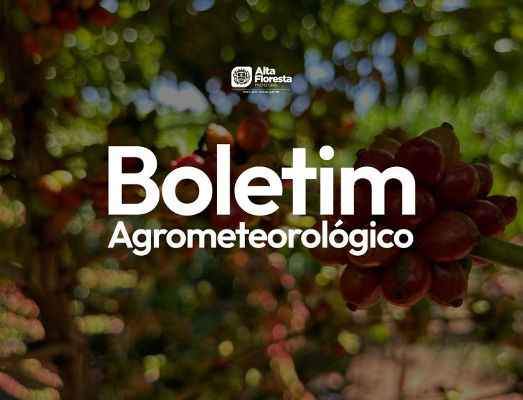 Imagem principal da Notícia