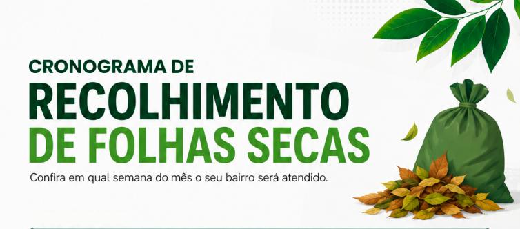 Imagem principal da Notícia
