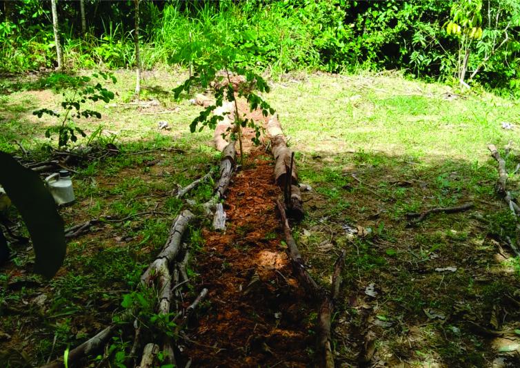 Imagem principal da Notícia