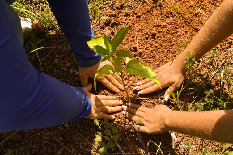 Imagem principal da Notícia